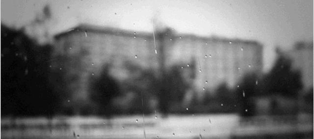 真实破冰行动牺牲了多少缉毒警,真实缉毒破冰行动