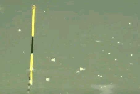 野钓浮钓调漂最佳方法,野钓浮漂怎么调最准确