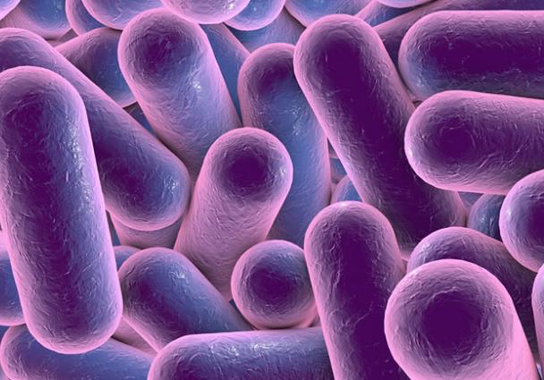 哪些益生菌有临床试验,国家认可的10种益生菌