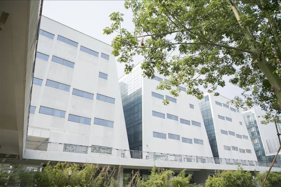 深圳有个建在“空中”的大学，拍照美到爆！