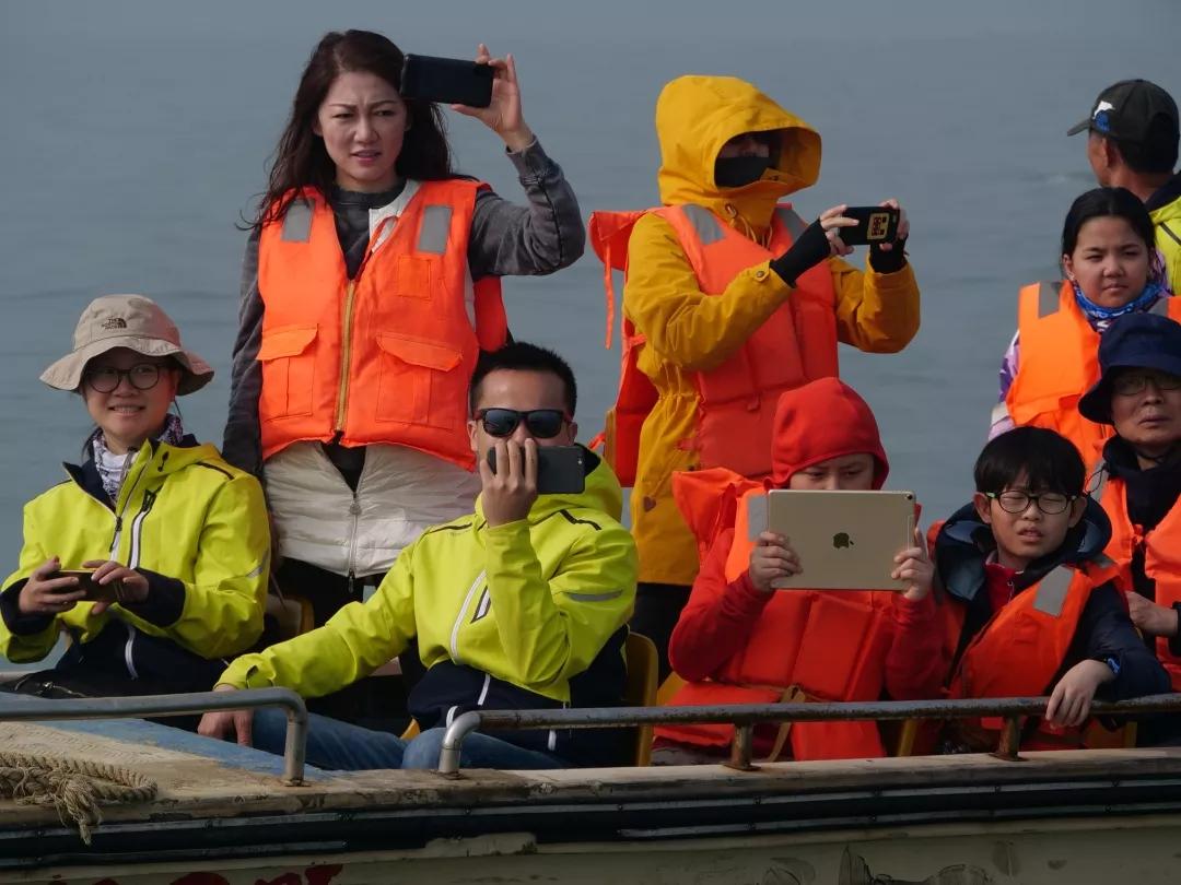 告别2019，迎来2020，在三娘湾与白海豚一起跨年