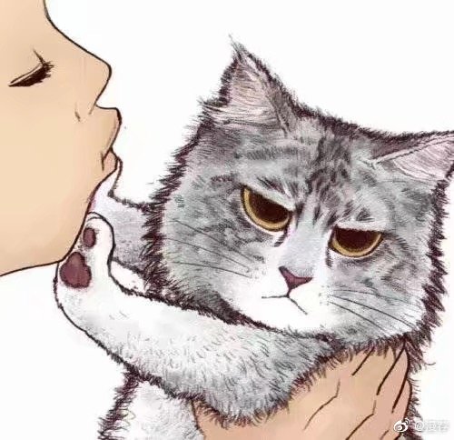 喵星人漫画推荐,绘画漫画喵星人