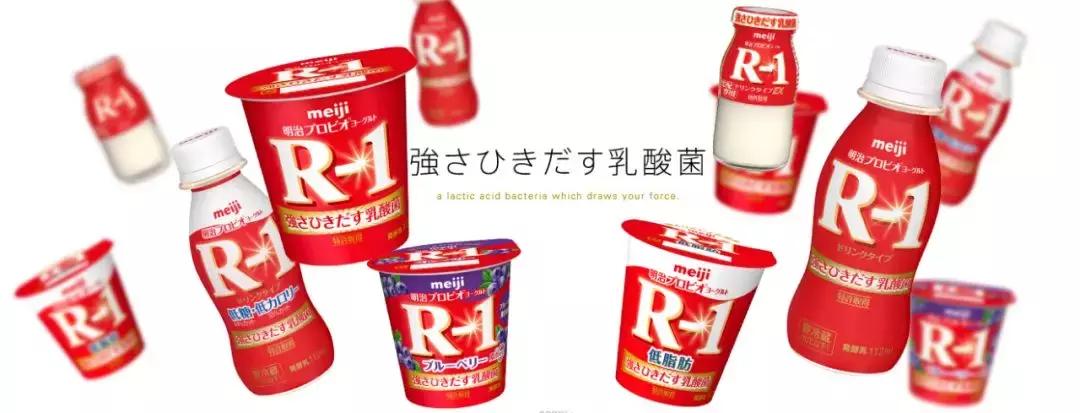 降嘌呤乳酸菌,降尿酸益生菌固体饮料