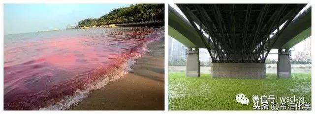 污水处理氨氮高怎么办？（中低浓度氨氮处理方法）