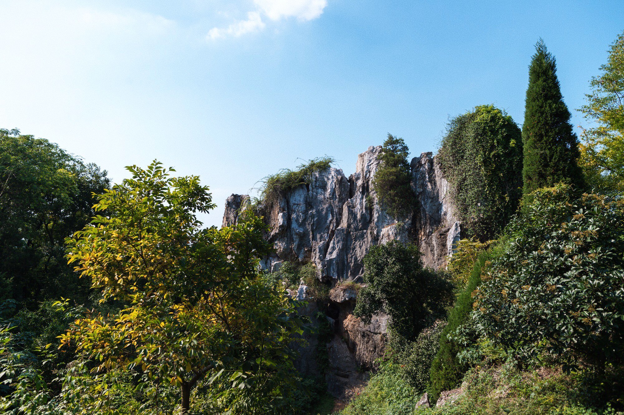 太湖不止有无锡鼋头渚，还有一座被誉为“小蓬莱”的岛，就在苏州