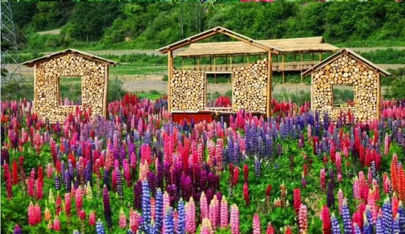 太白山避暑旅游攻略,避暑天堂太白县天气预报