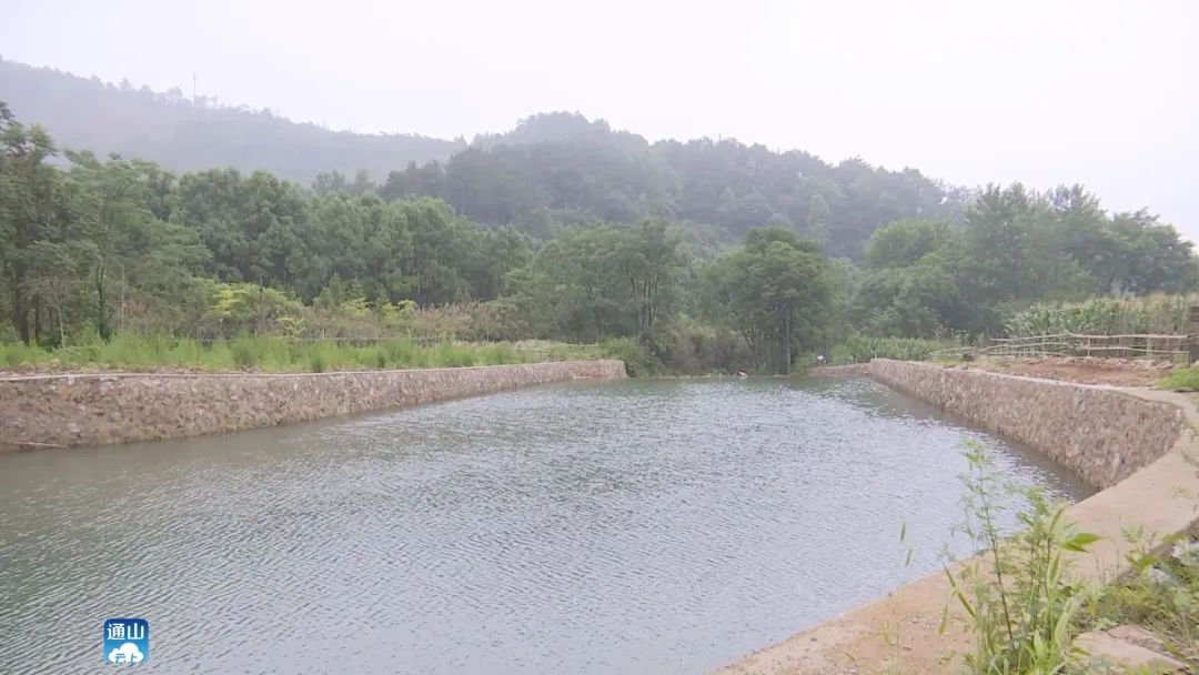 黄沙铺镇梅田村：昔日垃圾“围村”如今美丽如画