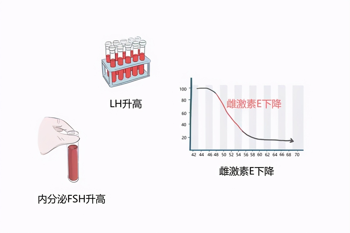 “更年期”是病吗？还是衰老的标志？听听妇科专家怎么说