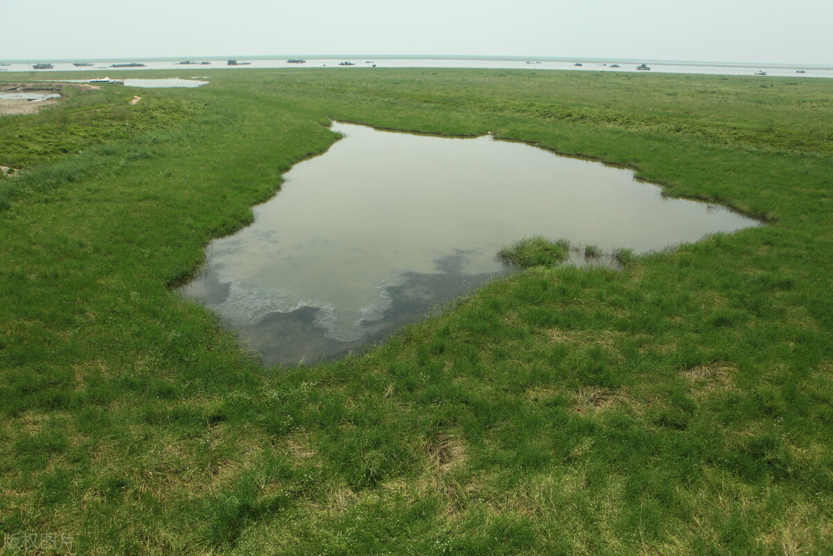 写出好诗的六大要素,如何写好诗的方法和技巧
