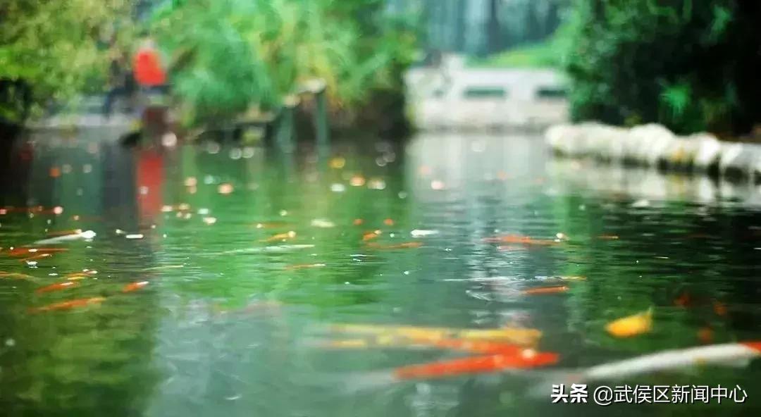 成都旅游景点免费门票,成都周边好玩的地方景点免费