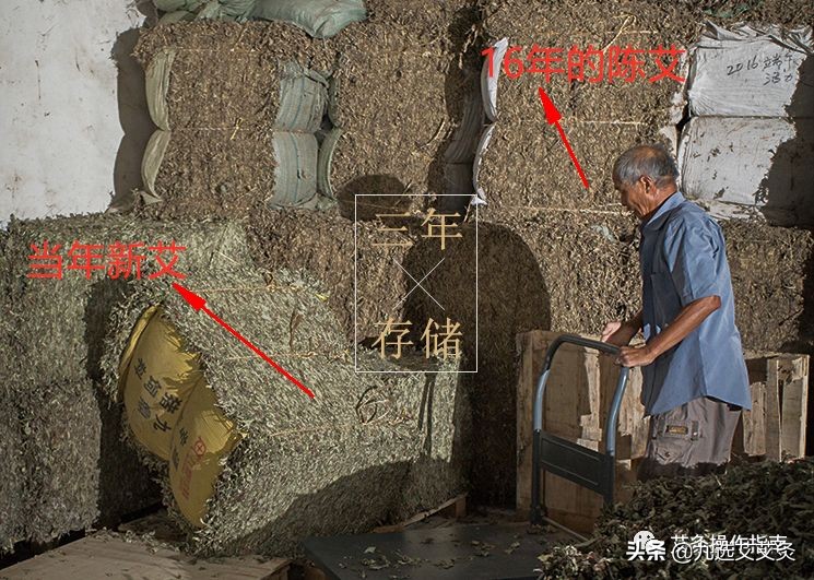 豁出去了,豁出去了斩断退路才能致胜