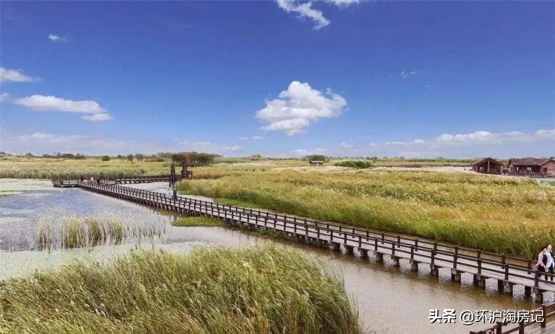 疫情期间扎堆看房！宁波最热门板块！2020杭州湾风险警示