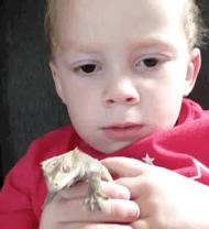 爸爸的爱全文,爸爸的爱中文版