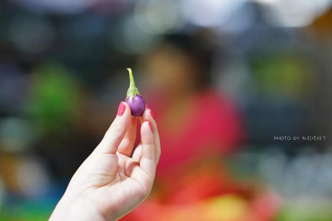 苏梅岛南查汶海滩因皮亚纳度假村,七天海岛度假游攻略