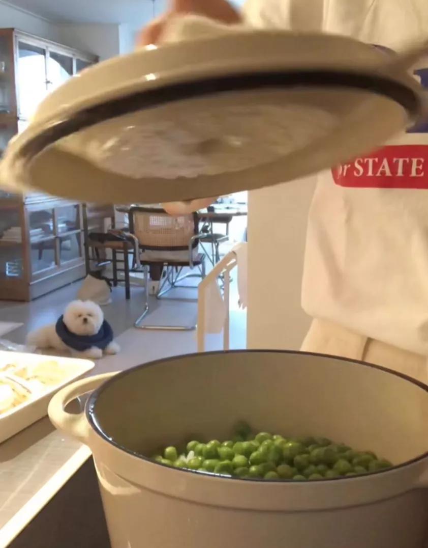 ins上有名的韩国独居博主,38岁独居全职博主