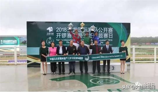 玉龙赛马公开赛,玉龙赛马赛程