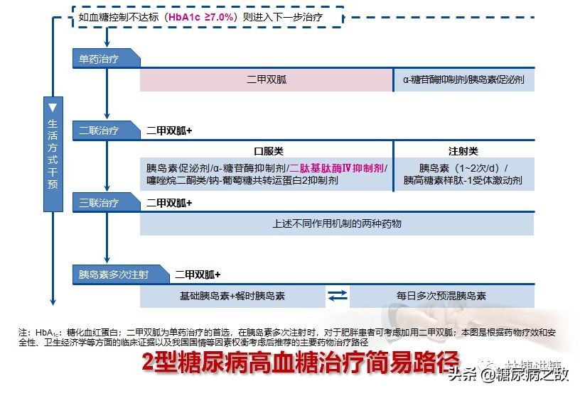 解读2型糖尿病的高血糖治疗路径