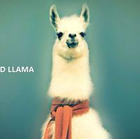 愚人节糗事,愚人节整人梗