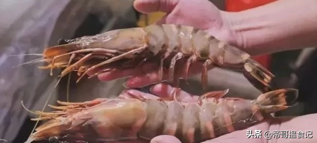 湛江海鲜口碑,湛江海鲜排档十大排行