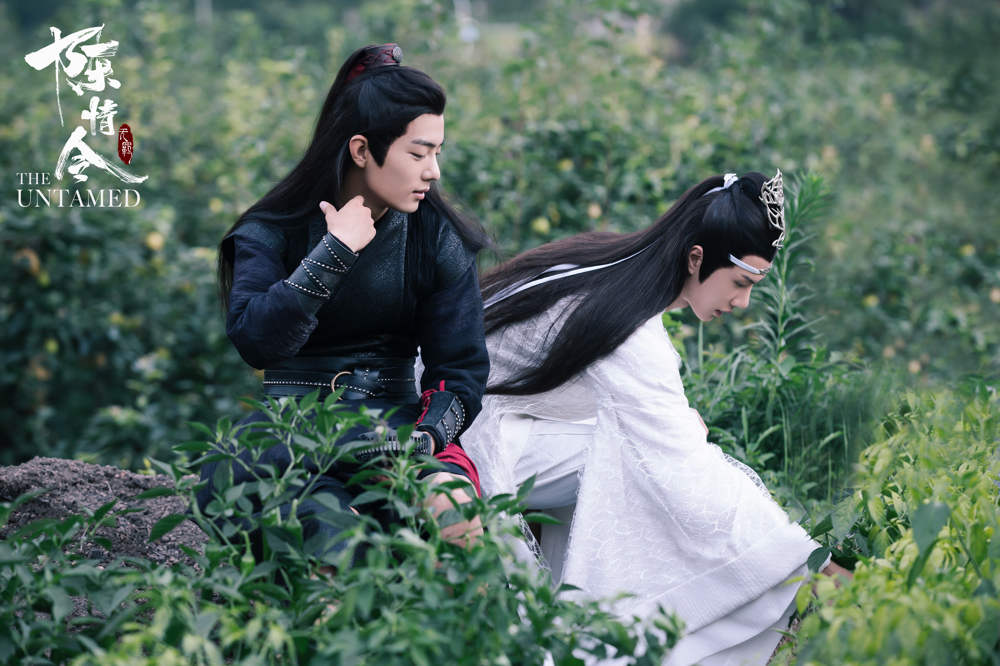 《传闻中的陈芊芊》、《隐秘的角落》居然这么翻译，涨姿势啦