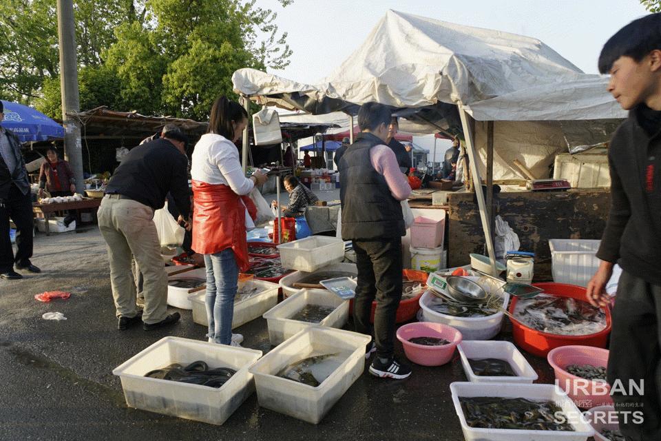 钱塘江鱼市,钱塘江神话传奇故事