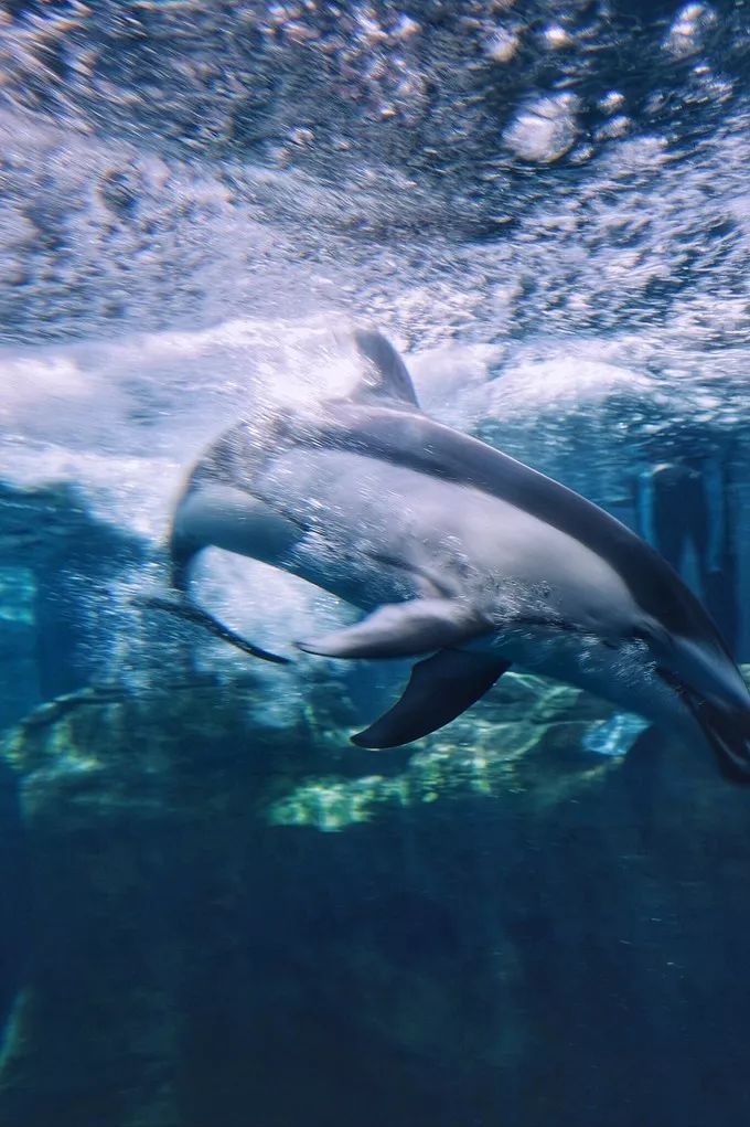 不一样的大阪三日游,瑠璃一束光,值得一来再来