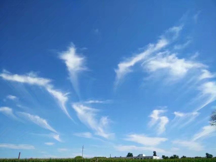 浮云电影,浮云散邓丽君原唱视频