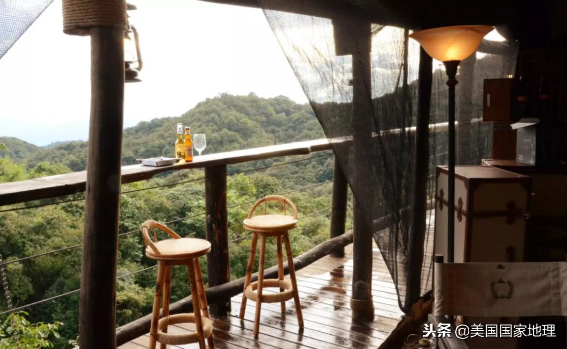 一叶一菩提由来,一叶一菩提是什么特色