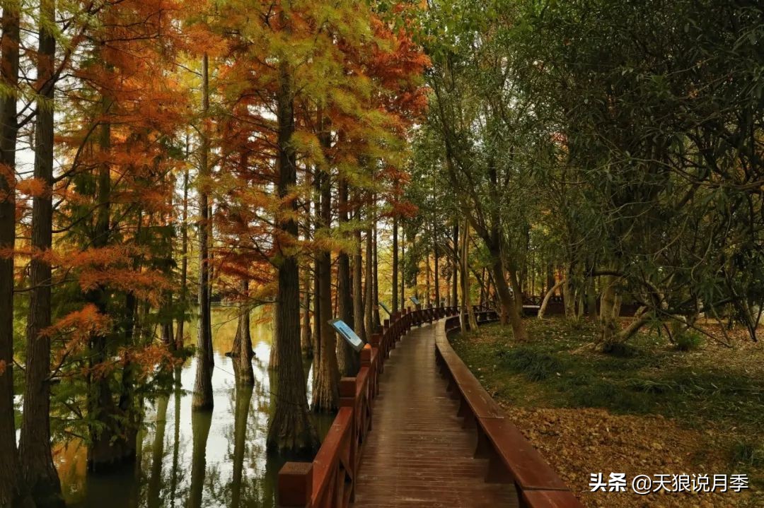 天狼团队最新视频,天狼团队所有视频