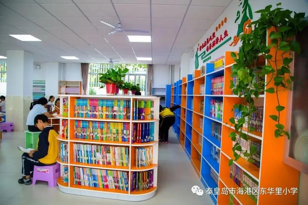 海港区招生计划表,2017海港区招生政策