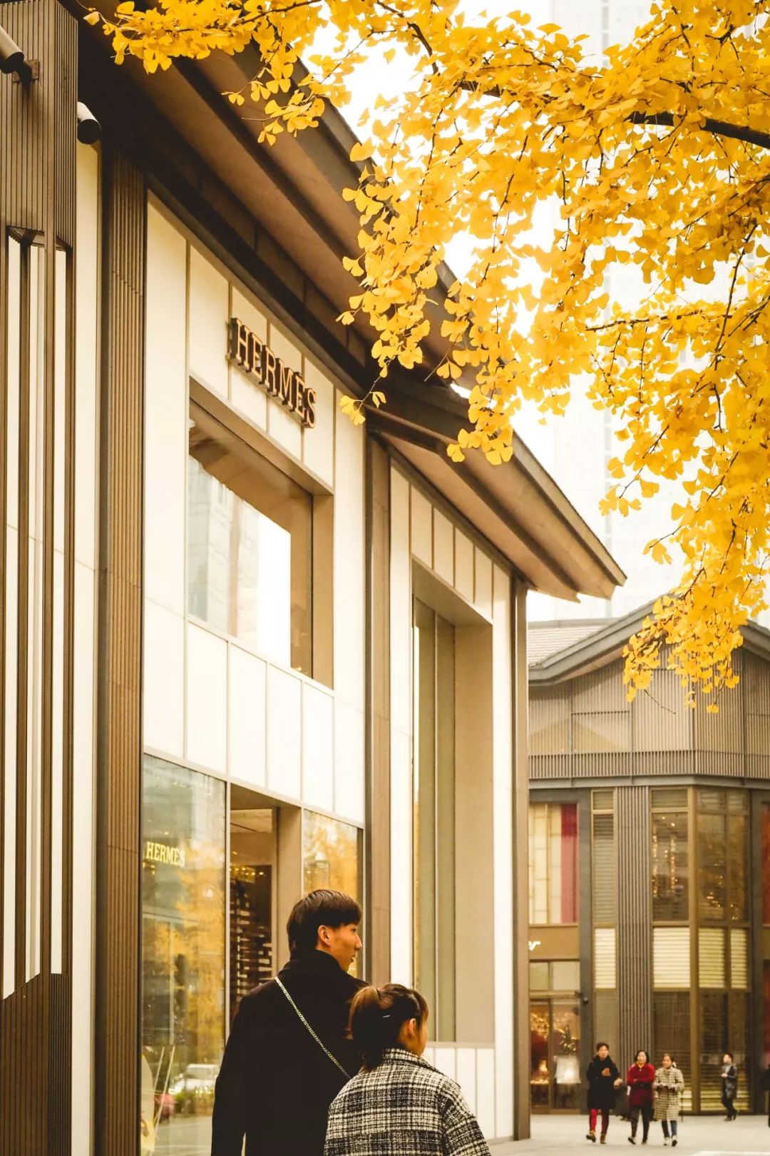 成都最贵的街是哪里,成都最豪华的步行街