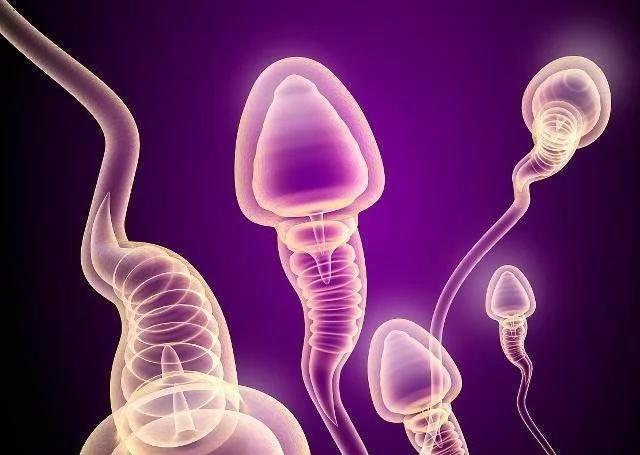 “小蝌蚪”在女性体内会产生什么样的变化，这5种变化有了解过嘛