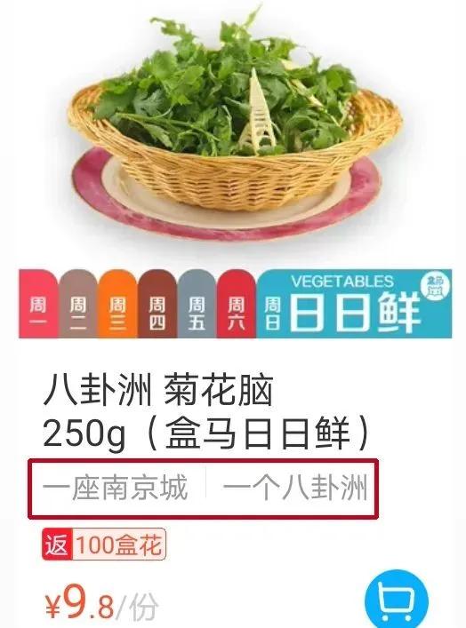 南京城市野菜猎人实录