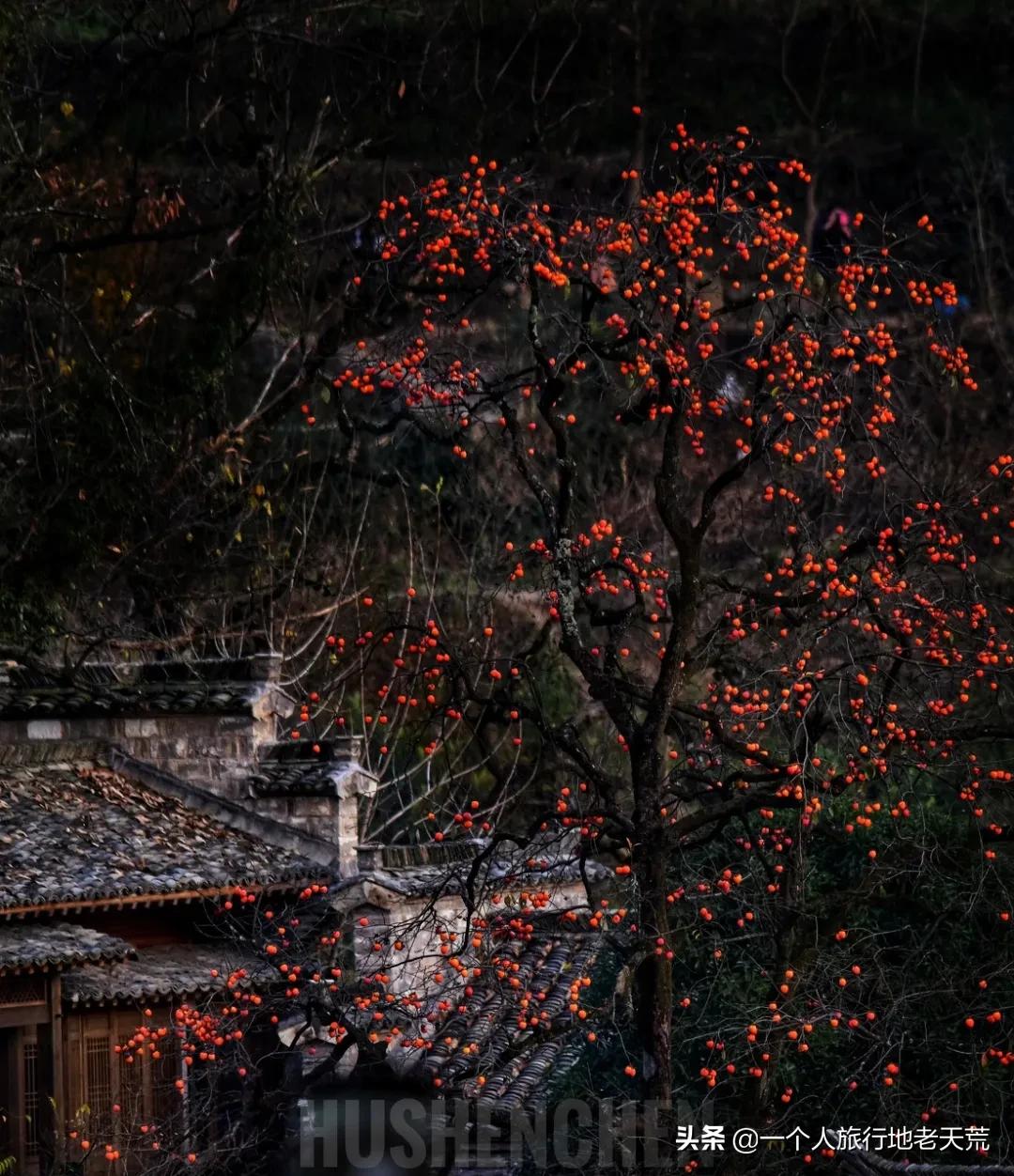 情侣必去的十大旅行胜地,中国情侣必去的国内十大浪漫圣地