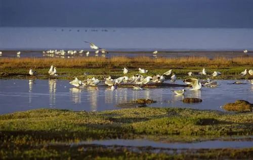 河北衡水的教育怎么样,河北衡水教育在全国什么水平