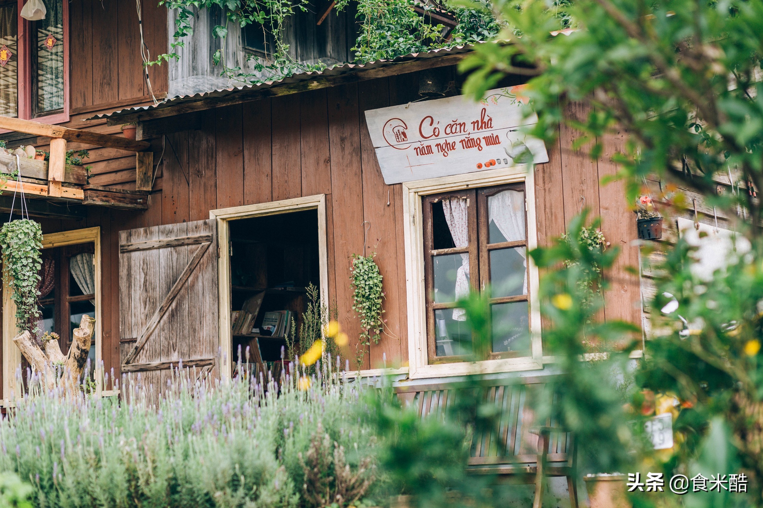 女孩辞去高薪工作做家政,辞掉工作到岛上开民宿