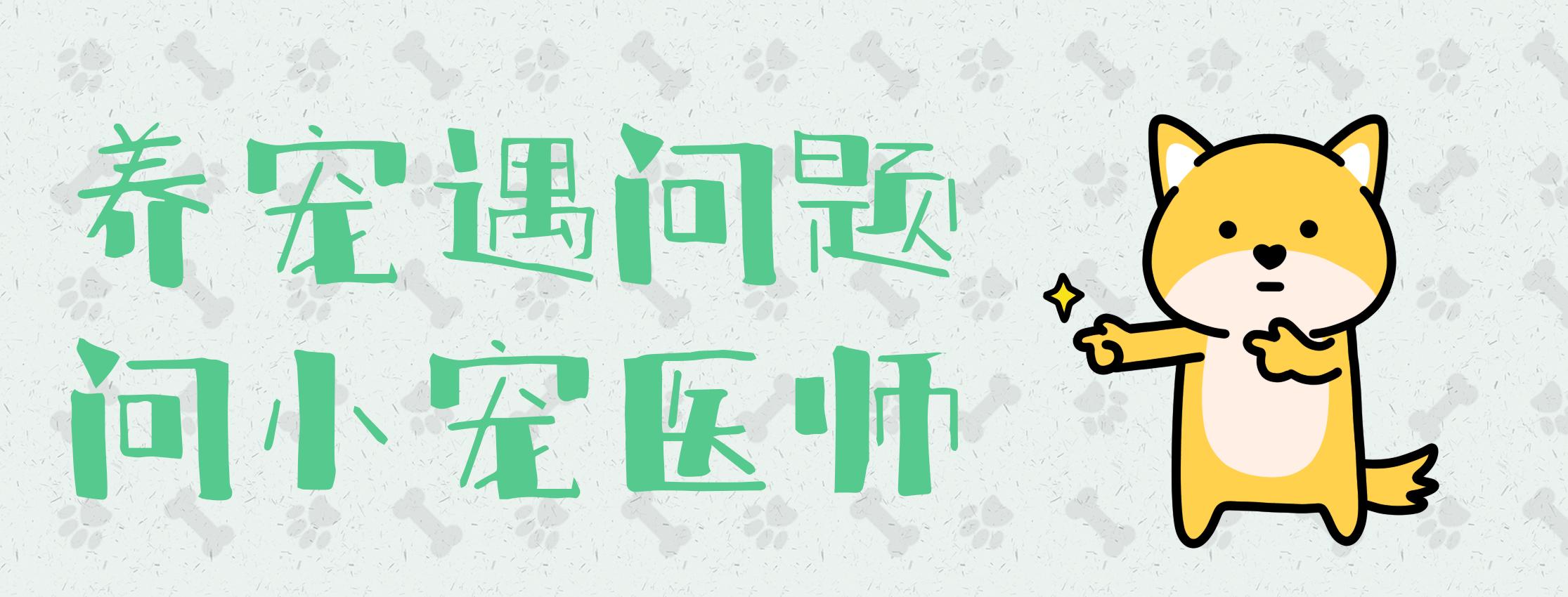 小宠肤可安怎么给猫咪洗澡,肤可安猫咪