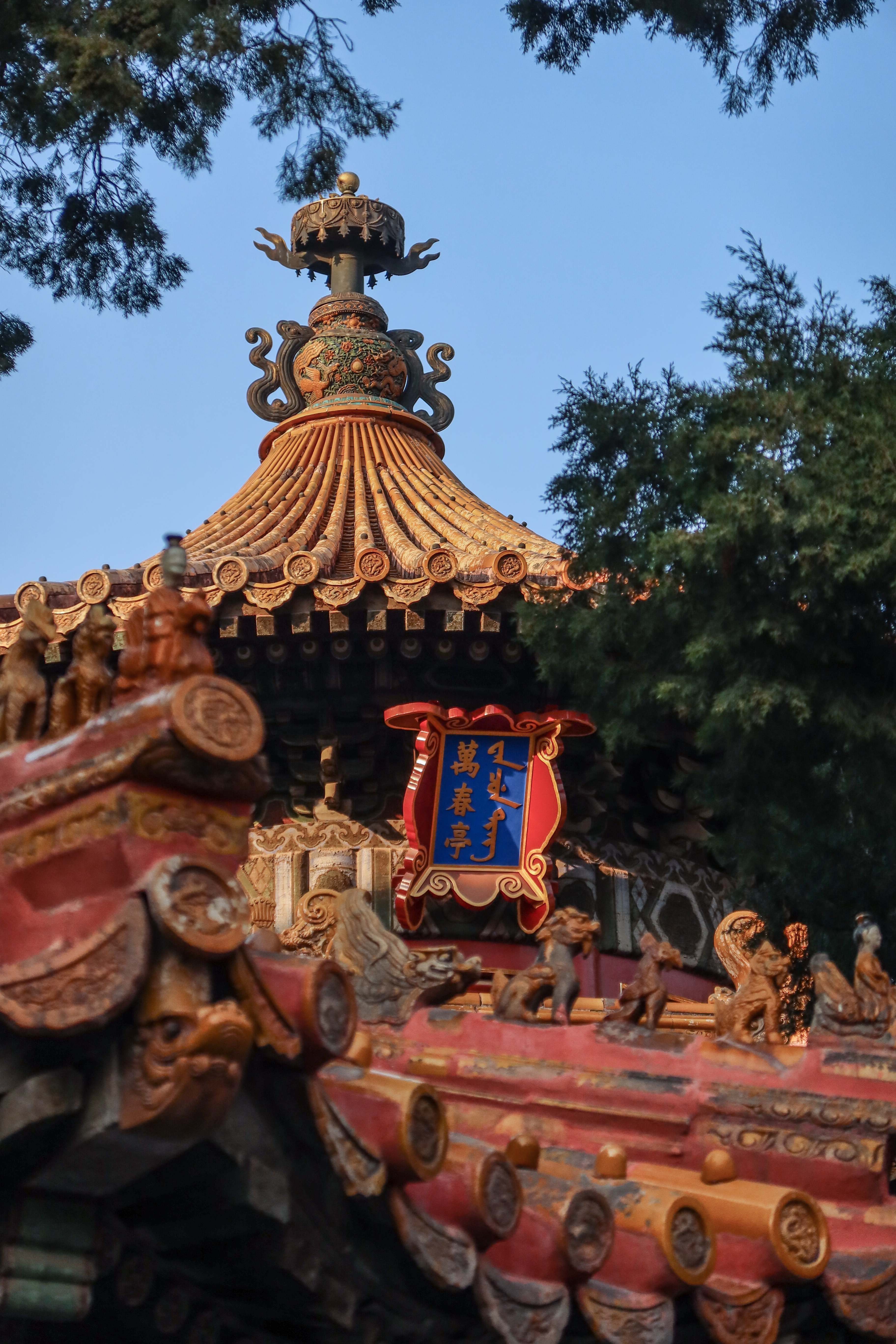 佳能g5xmarkii,佳能g5xmark2拍人像怎么样