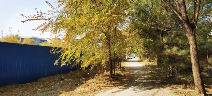 温阳路地铁站地图,温阳路地铁