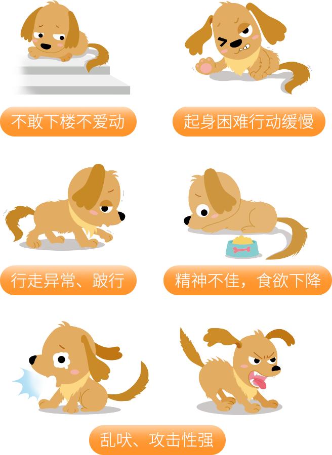 天冷了狗狗是不是不爱动,狗狗冬天不愿意走动