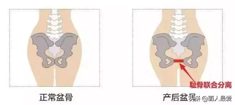 你的体型出卖了你生活态度,你身材和相貌出卖了你的生活层次