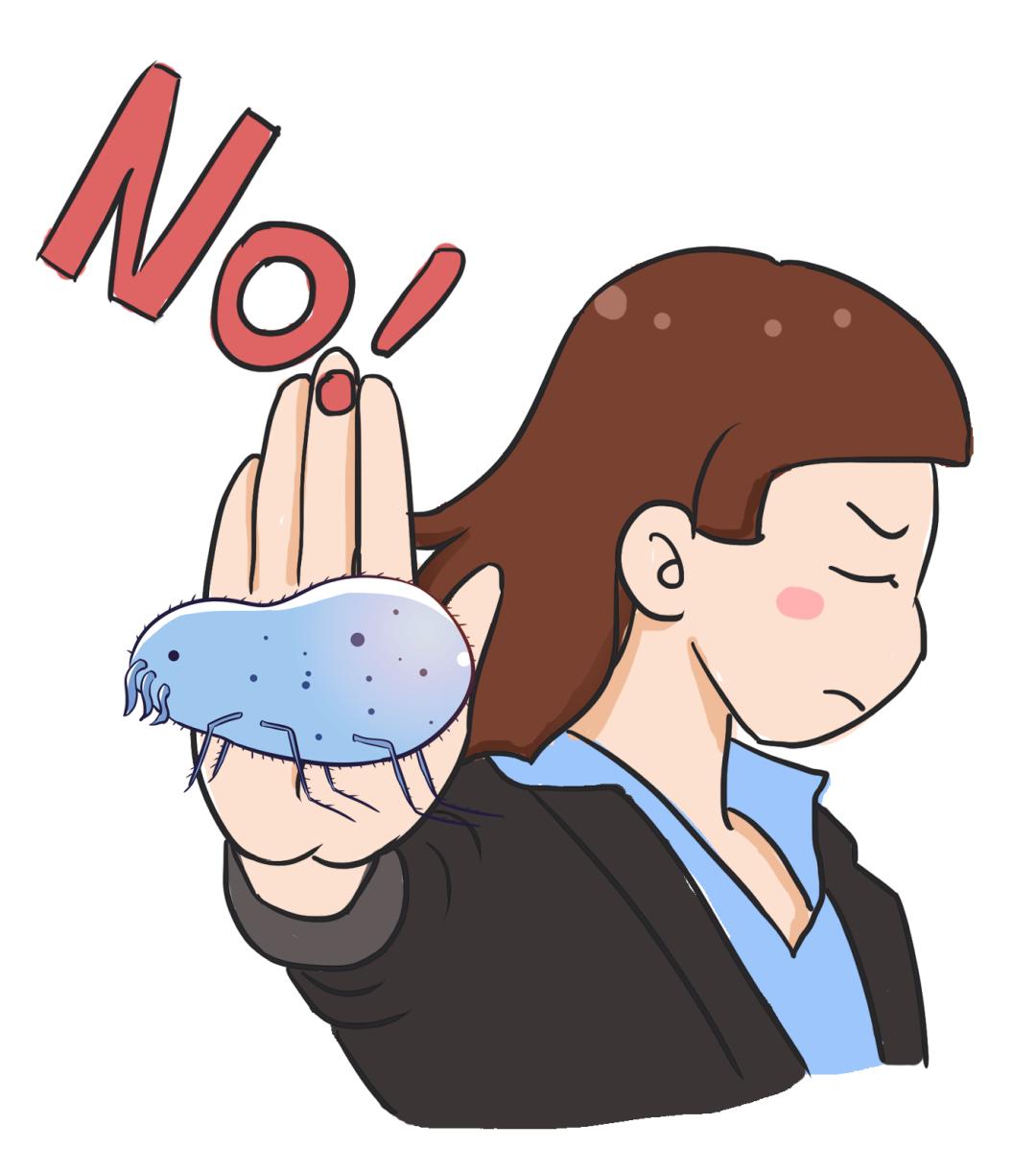 对宠物过敏又想养宠物怎么办,怎么从根本上解决宠物过敏