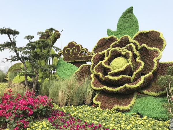 百花齐放迎盛世华夏崛起在今朝,花团锦簇万众瞩目