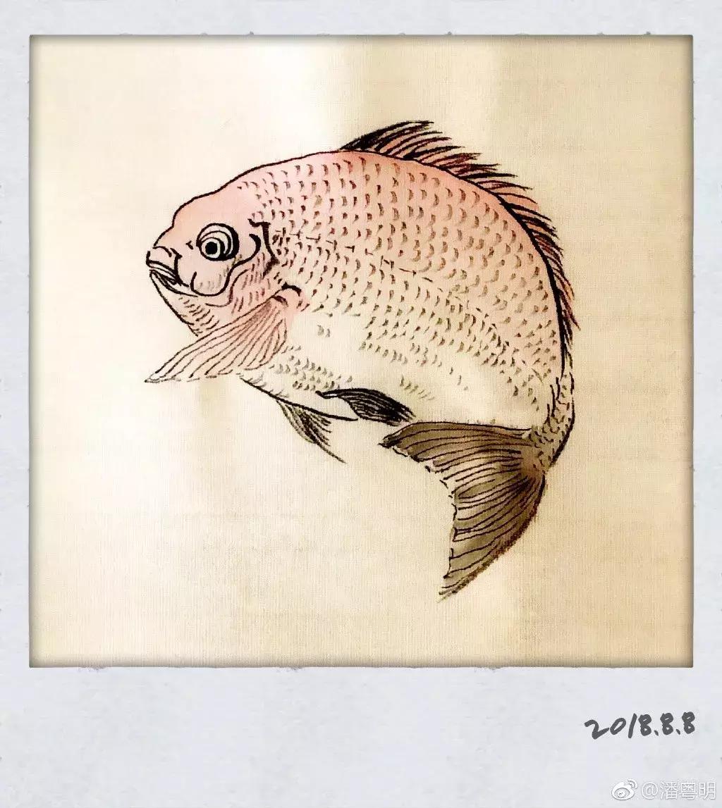 潘粤明近几年作品,潘粤明年轻时的戏