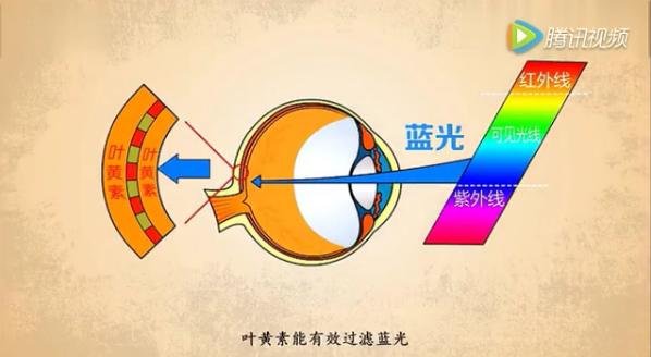 66爱眼日,66爱眼日护眼课堂