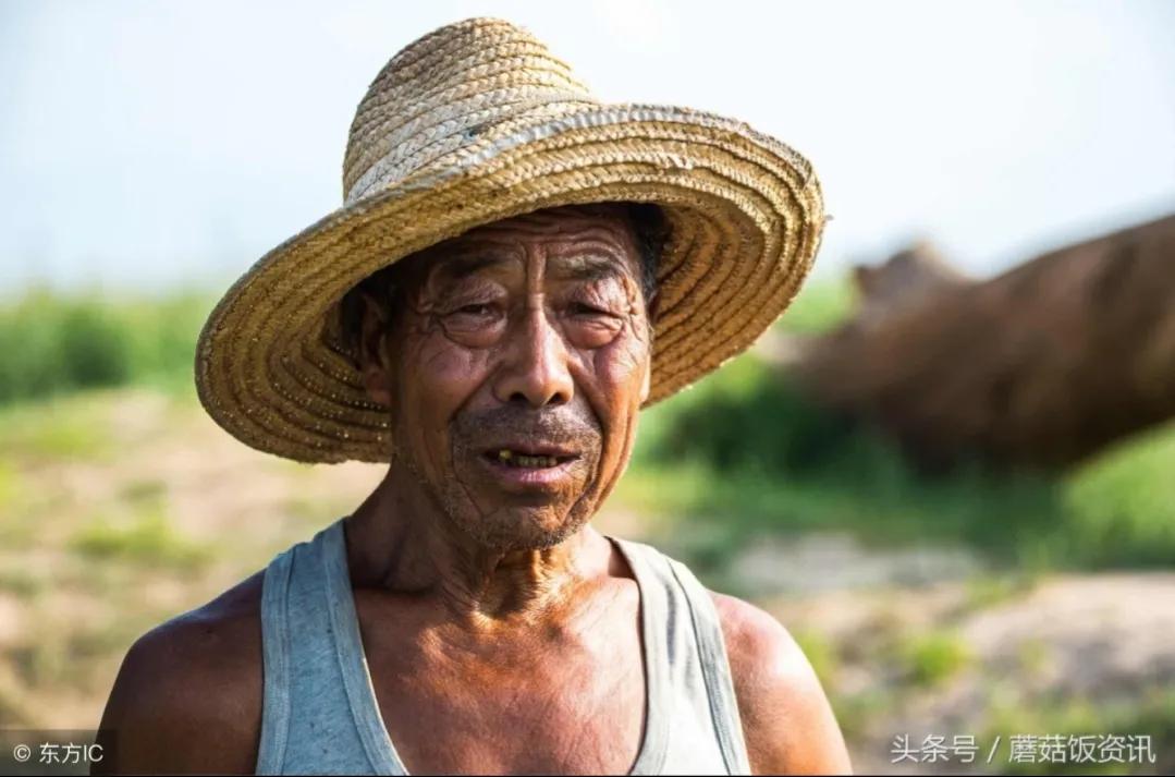 乡土作家袁炳纲记实散文《急人》