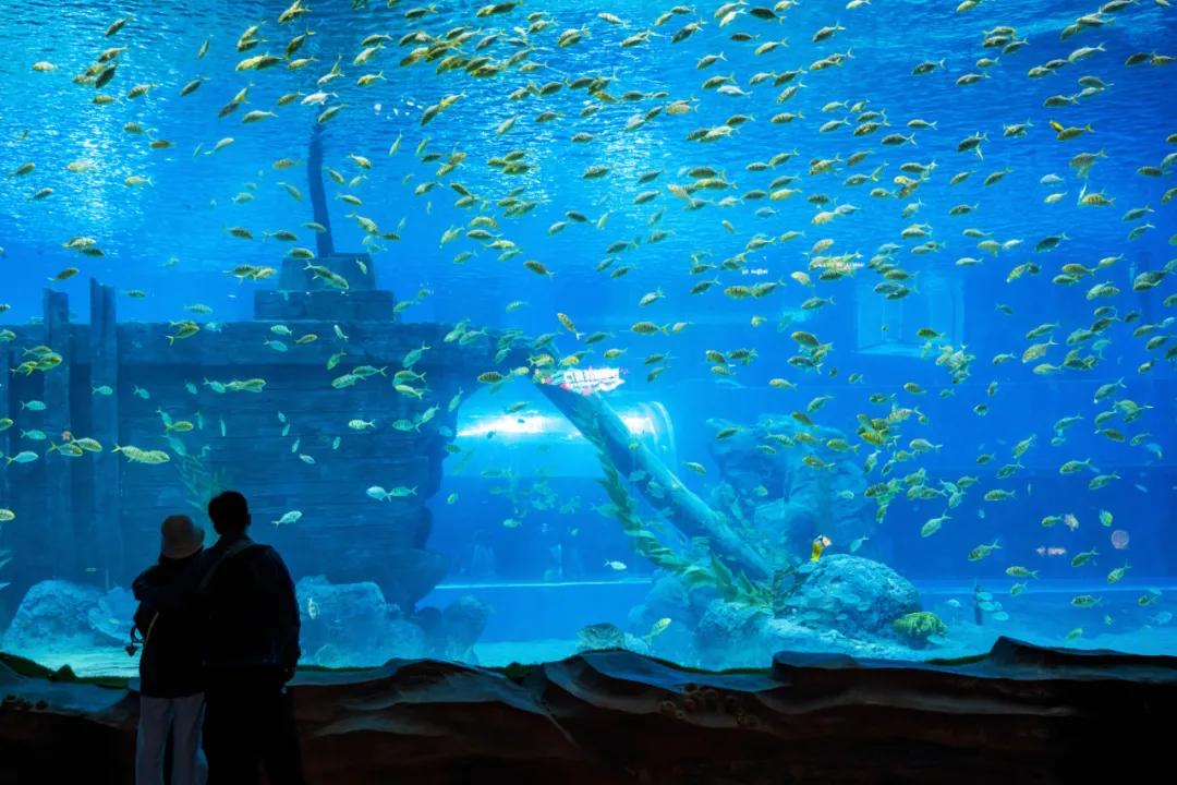 这个季节适合去济南哪旅游,济南十一假期游玩攻略