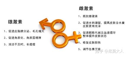 长姨妈痘怎么调理内分泌,来姨妈前脸上长痘什么原因