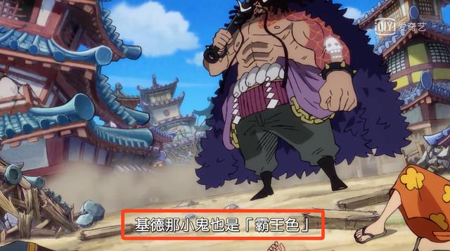 海贼王基德的目的是什么,海贼王基德人好吗