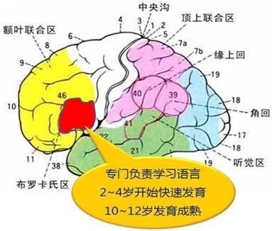 阅读阅爱读，孩子阅读的关键几年，你在做什么？